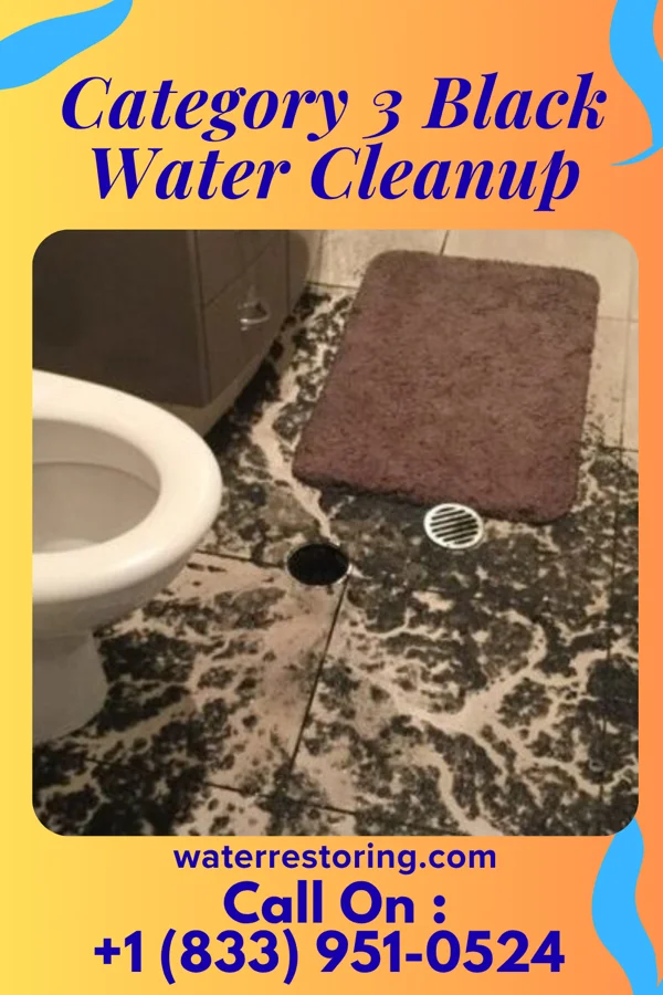 Category 3 Black Water Cleanup in Level Park-Oak Park, MI
