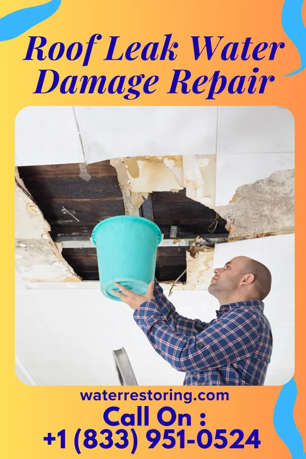 Roof Leak Water Damage Repair in Level Park-Oak Park, MI
