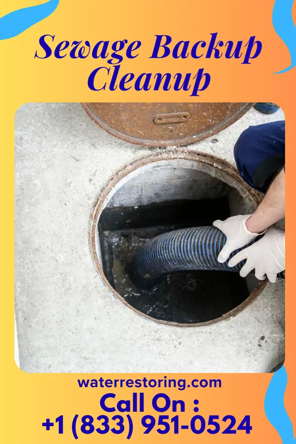 Sewage Backup Cleanup in Level Park-Oak Park, MI