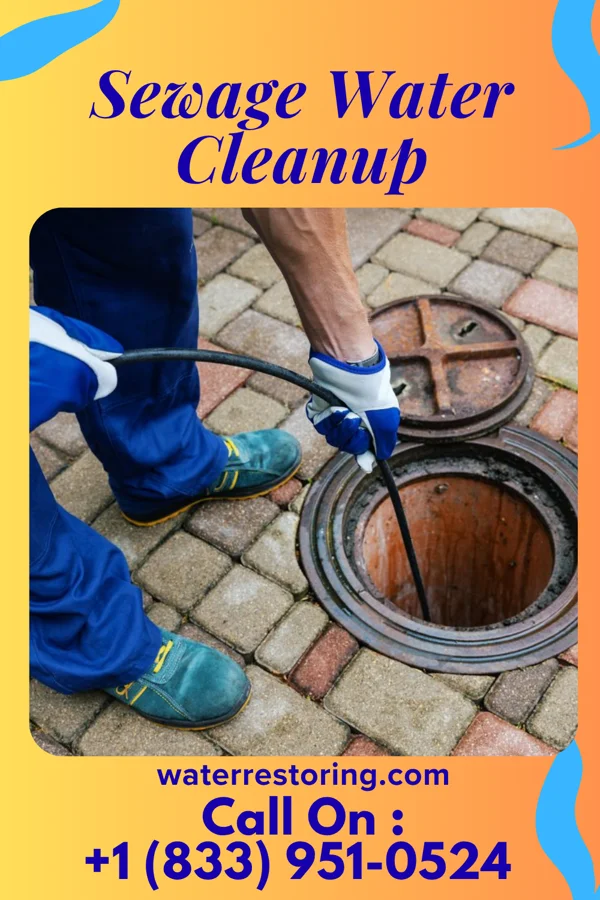 Sewage Water Cleanup in Level Park-Oak Park, MI